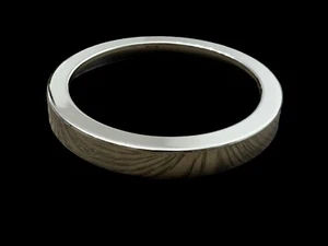 Triplex 60 in. LED Polished Nickel Ceiling Fan Replacement Plastic shade Ring - Picture 1 of 2