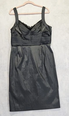 Adrianna Papell Dress Sz 16 Formal Empire Waist Slip Gray Lined Lace Sleeveless - Image 1 of 4