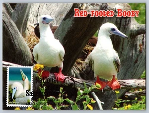 #5713b National Marine Sanctuaries Red Footed Booby FDC Maxi Card w/Pict Cancel - Picture 1 of 2