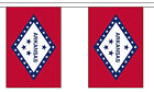 ARKANSAS U.S. STATE BUNTING 9 metres 30 flags Polyester flag