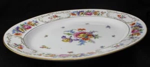 Plato Tirschenreuth Dresden de 16 pulgadas de largo - Imagen 1 de 7