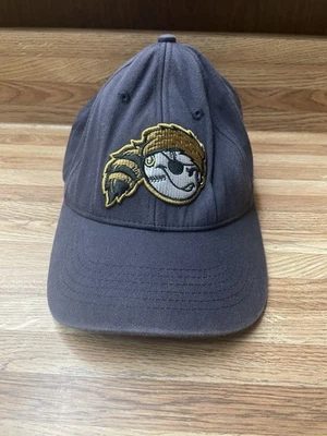 West Virginia Power MiLB Basebally Hat - Image 1 of 4