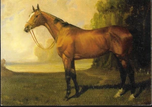 Horse - Racehorse 'Ferry' 1000 Guineas winner - art postcard by Palmer c.2000s - Picture 1 of 1