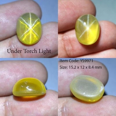 16.95 Ct 15.2x12 MM Yellow Star Sapphire 6 Rays Lab Created Corundum VDO YS9971 - Image 1 of 4