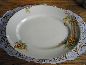Vintage Royal Staffordshire Honeyglaze Platter ~ 9 1/2" x 12 1/2" ~ - Picture 1 of 8