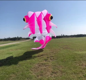2025 new 11M Large 3D Kites models Original Software kite Goldfish kite - Picture 1 of 3