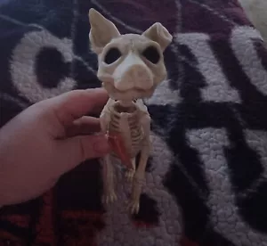 Scheletro per Cani Decorazione Halloween Prop Casa Vacanze - Foto 1 di 4
