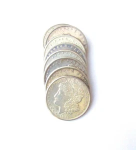 1921 S G/F Morgan Dollars (8 insgesamt) #200240 - Bild 1 von 2