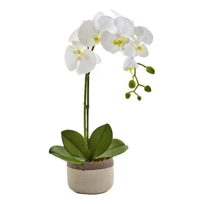 Nearly Natural Bold Phalaenopsis Orchid with Two-Toned Ceramic Pot in White/Tan - Image 1 of 4