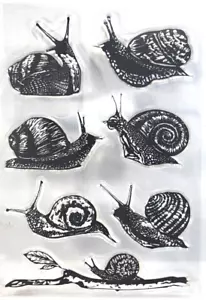 Schnecken Schnecke Nachzügler Muscheln Garten Schleim Bürgersteig klar Stempel Blatt 4,5" x 6,5" - Bild 1 von 1