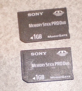 Pair of SONY Memory Stick PRO Duo 1GB Memory Cards - Picture 1 of 1