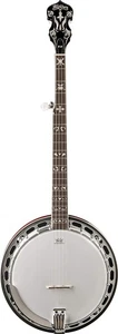 Washburn Americana Series 5-String Banjo w/ Deluxe Hard Case - Picture 1 of 5