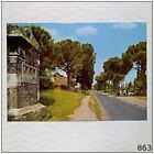 Roma Appia Antica Street Postcard (P863)