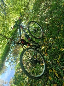 MTB Carbonio SCOTT - cerchi 26 - Foto 1 di 7