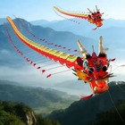 XXL Adler Drachen 7m Groß Winddrachen Outdoor Profi Kite Erwachsene