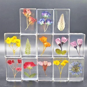 Dried Flower Specimen Resin Home Accessories Office Paperweight Gift Random Send - Picture 1 of 11