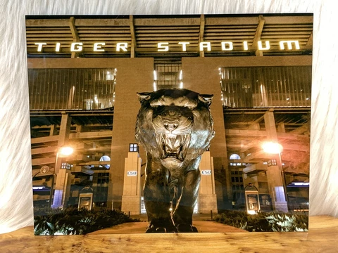 LSU Tiger Stadium Epoxy Metal Photo Wall Art Entrance Night OOAK 11x14 Nice! Cover
