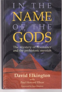IN THE NAME OF THE GODS: By David Elkington (2001 Hardcover){U7} - Picture 1 of 3