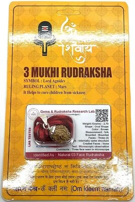 Embrace Creativity & Positivity: Handmade Certified 3 Mukhi Rudraksha Pendant - Image 1 of 4