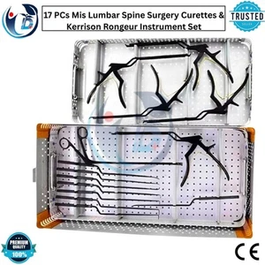 17 PCs Mis Lumbar Spine Surgery Curettes & Kerrison Rongeur Instrument Set - Picture 1 of 6