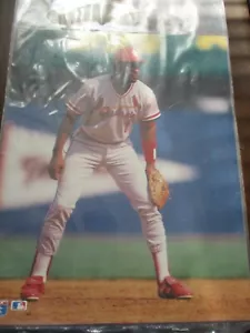 Fotos vintage de 8 x 10 de estrellas de béisbol, fotos de leyendas sin abrir - Imagen 1 de 1