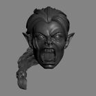 Savage Female Orc v5 D&D Fantasy Warhammer WoW custom head for action figures