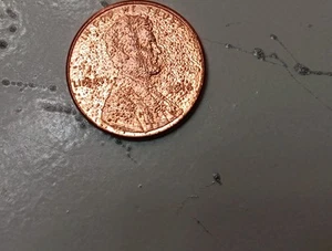 2014 SHIELD PENNY ERROR MS. - Picture 1 of 5