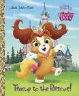 Little Golden Book Ser.: Teacup to the Rescue! (Disney Princess: Palace Pets)...