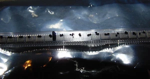 12-Texas Instrum-TL317C-Linear Voltage Regulator, Pos Adj Output 1.2 ~32V, 100mA - Picture 1 of 2