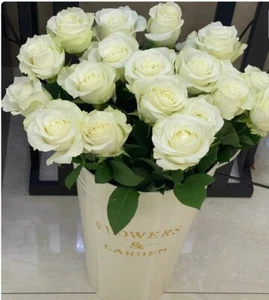 Farm Fresh Cut Elegant Roses Flower Bouquet 50 Stems - Picture 1 of 2