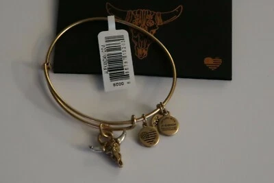 Alex and Ani Spirited Skull Bracelet Charm Logo Expandable Wire Silver Gold NWT - Image 1 of 3