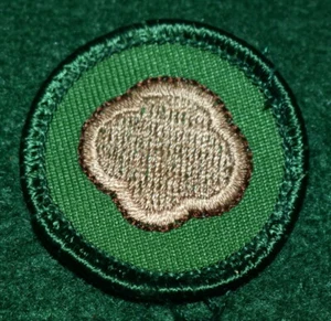 GIRL SCOUT WORLDS TO EXPLORE BADGE - COOKIE CONNECTION - GREEN - Picture 1 of 2