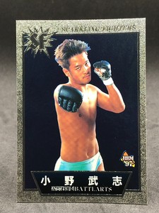Takeshi Ono BBM 97 Battlarts Pro Wrestling Sparkling Fighters Card Japan SF102