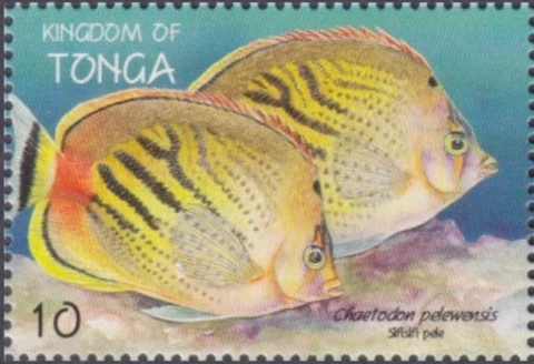 Tonga #SG1440 MNH 1998 Chaetodon petewensis [1008a] Cover