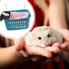  Hamster Hängematte Plüsch Guinea-Bett Schlafnest Für Haustiere Hängebett