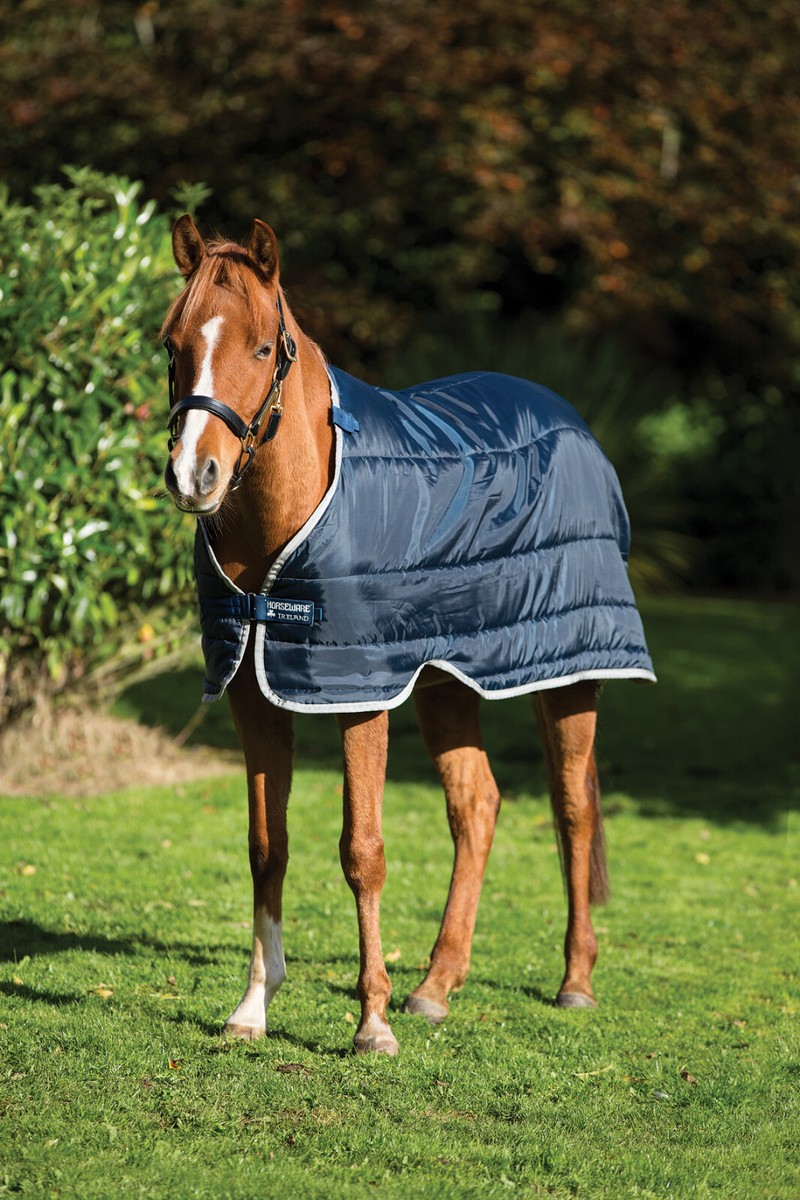 Pferdedecke Bucas Bucas Unterdecke 100g SF 145 Navy - Wärmende