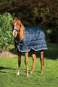 Horseware Liner Pony 100g - Bild 1 von 5
