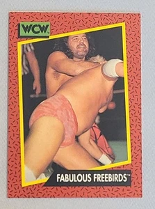 1991 Impel WCW #122 Fabulous Freebirds  - Picture 1 of 2