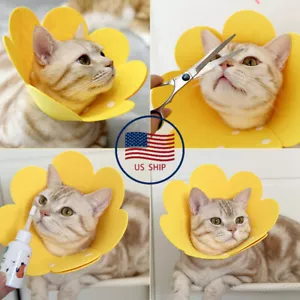 Adjustable Yellow Pet Cat Anti-Licking Recovery Collar Sunflower Dog Cone Collar - Picture 1 of 7