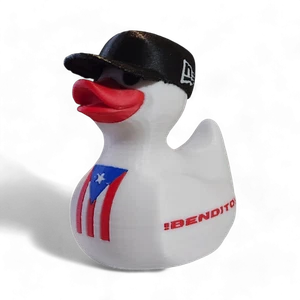 Puerto Rico Duck - Picture 1 of 4
