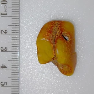 Baltic Amber stone honey colour matte polished natural untreated gem 28ct - Picture 1 of 7