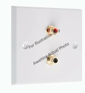 2 Post  RCA PHONO Wall Face Plate - Brushed Steel - NO SOLDERING REQUIRED - Picture 1 of 5