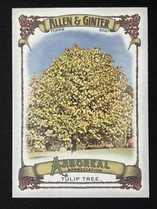 2021 Topps Allen & Ginter #AA-14 Tulip Tree Arboreal Appreciation - Picture 1 of 2