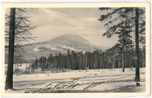 Ansichtskarte Jonsdorf/Zittauer Gebirge - Naturaufnahme im Winter - s/w - Bild 1 von 2