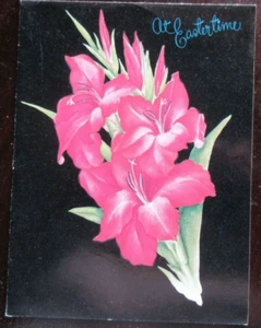 Vintage unbenutzte NAT'L PUB CO OSTERN Karte rote Gladiolen auf schwarzem Hintergrund - Bild 1 von 4