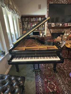 Piano de cola Steinway modelo B. Hecho 1994. Excelente estado Foto 1 de 4