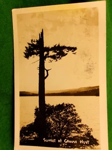 Auerhuhn Nest Sooke Postkarte Juli 18 1944 Stempel Vancouver Island #2696 - Bild 1 von 2