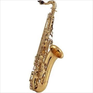 J.MICHAEL Sassofono Tenore TN-900 B Piatto con Custodia Rigida - Foto 1 di 1