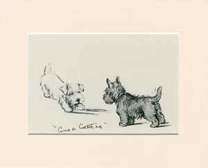 SEALYHAM AND SCOTTISH TERRIER DOGS OLD 1937 MOUNTED DOG ART PRINT BY LUCY DAWSON - Picture 1 of 1