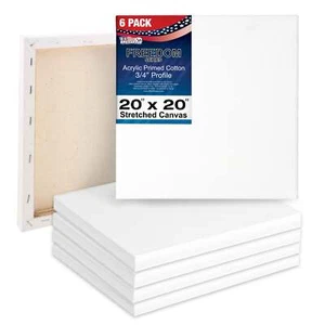 6 Pack of US Art Supply 20" x 20" Acrylic Primed Cotton Duck Stretched Canvas - Picture 1 of 5